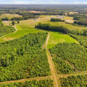 31-web-or-mls-1390-nick-coley-rd