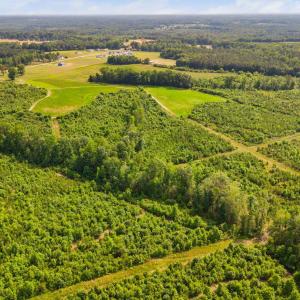 32-web-or-mls-1390-nick-coley-rd