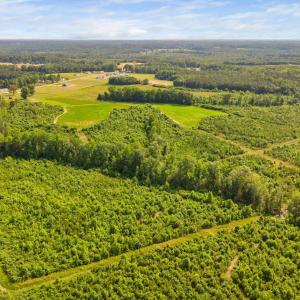 33-web-or-mls-1390-nick-coley-rd