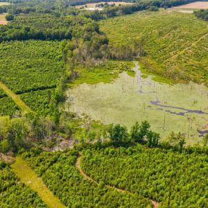 34-web-or-mls-1390-nick-coley-rd