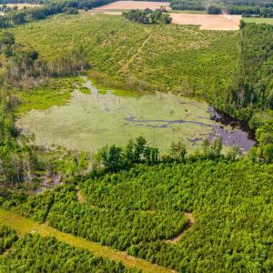 35-web-or-mls-1390-nick-coley-rd