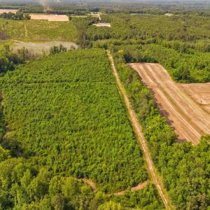 36-web-or-mls-1390-nick-coley-rd