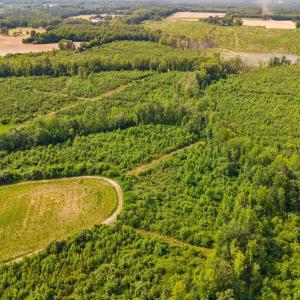 37-web-or-mls-1390-nick-coley-rd