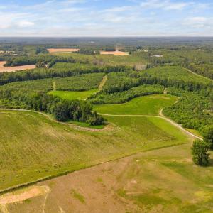 40-web-or-mls-1390-nick-coley-rd