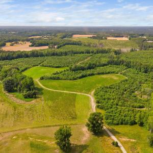 41-web-or-mls-1390-nick-coley-rd