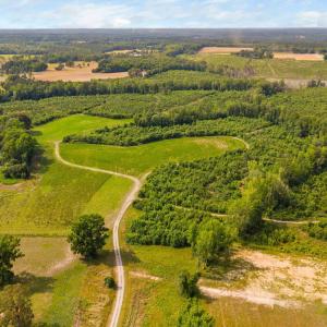 42-web-or-mls-1390-nick-coley-rd