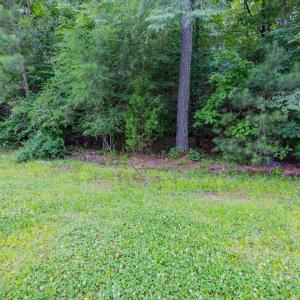 023-459WindfallCreekDr-Lot28-Windfall-20