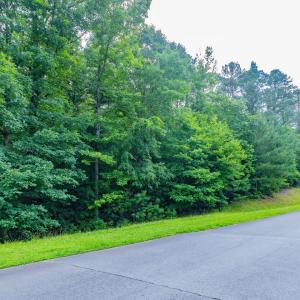 017-459WindfallCreekDr-Lot28-Windfall-20