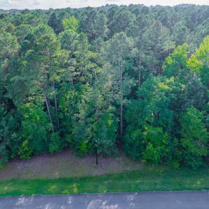 008-459WindfallCreekDr-Lot28-Windfall-20