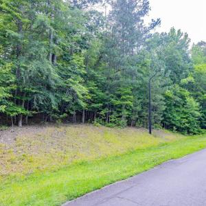 018-459WindfallCreekDr-Lot28-Windfall-20