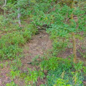 016-459WindfallCreekDr-Lot28-Windfall-20