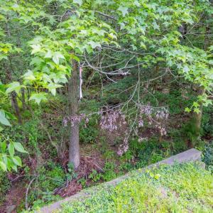 015-459WindfallCreekDr-Lot28-Windfall-20