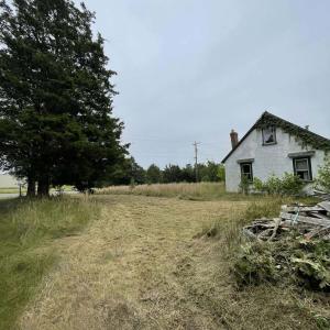 Side yard