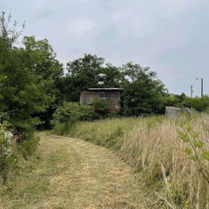 Path