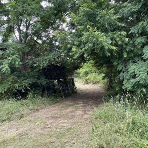 Path