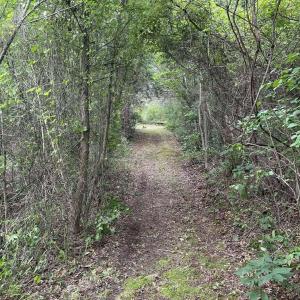 Path