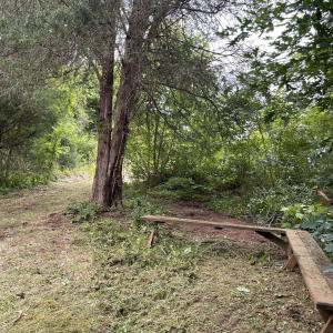 Path