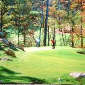 thumbnail_14 GOLF ON GREEN - BEST - Copy