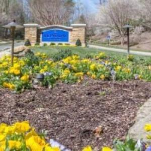 thumbnail_Entrance-Spring-Far