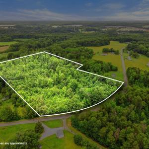 4-web-or-mls-4401 Hines Chapel Drone PL