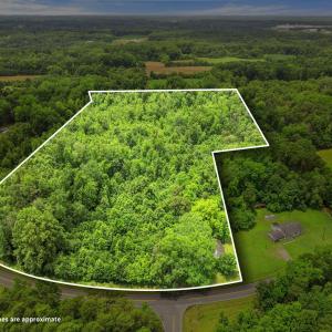 2-web-or-mls-4401 Hines Chapel Drone PL