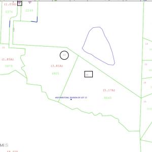 Image 6-19-25 at 1.24PM
