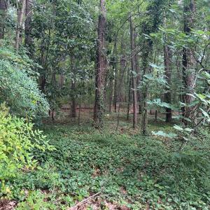 Interior of land