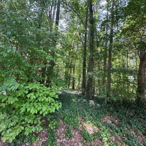 Side of land 2