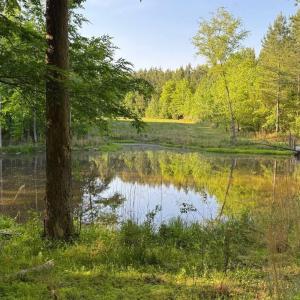 GoochsMillLot2pond