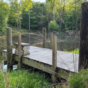 GoochsMillLot2dock