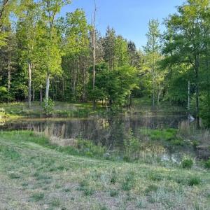 GoochsMillLot2view