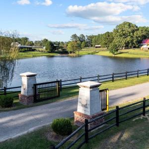 pond2