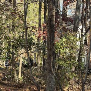 IMG_1809
