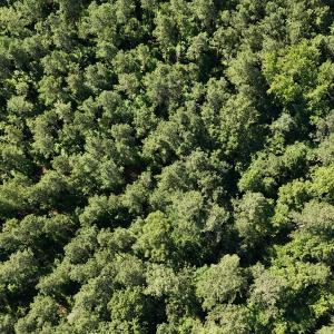 DJI_20250618100143_0006_D