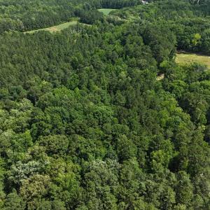 DJI_20250619151202_0061_D