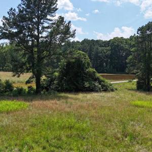 DJI_20250619151713_0069_D