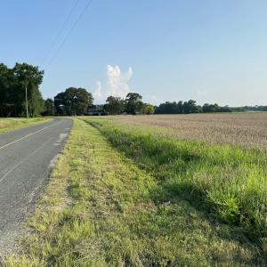 IMG_0440[1]