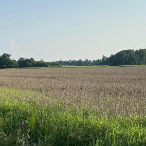 IMG_0454[1]