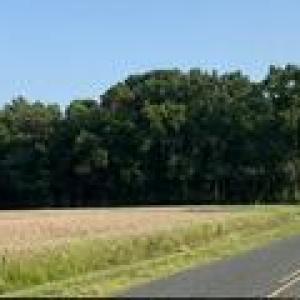 IMG_0428[1]