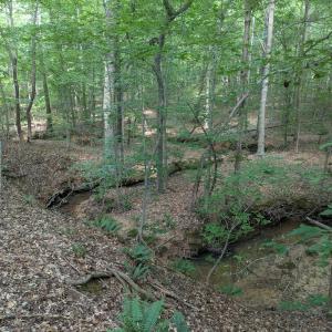 Creek meanders thru lot