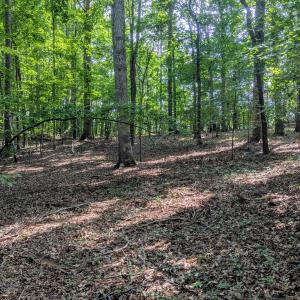 Basement home potential