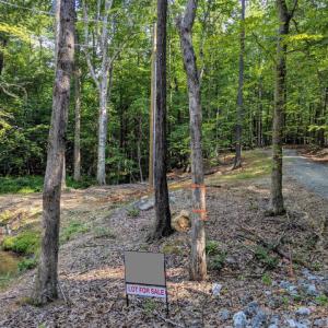 Shared driveway easement