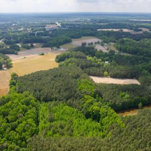 12-web-or-mls-eagle-rock-rd