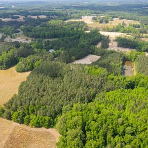 9-web-or-mls-eagle-rock-rd