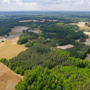 10-web-or-mls-eagle-rock-rd