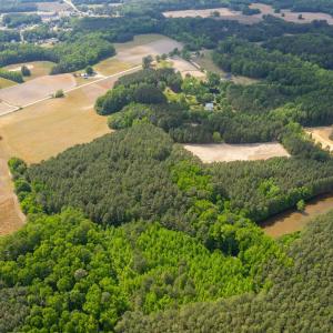 26-web-or-mls-eagle-rock-rd