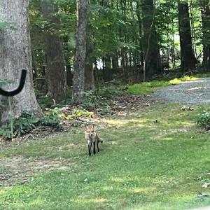 5500Hwy86Lot2_57842_5