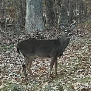 5500Hwy86Lot2_57842_6