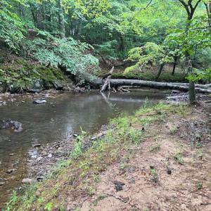 5500Hwy86Lot2_57842_7