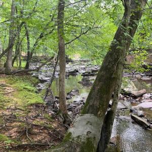 5500Hwy86Lot2_57842_9